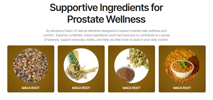Manjuba Caps Ingredients Image